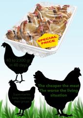 CC-by-sa ethify.org & dilemma