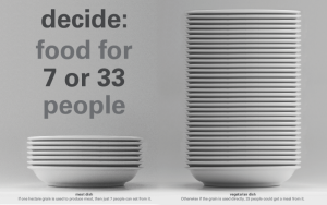 food for 7 or 33 people