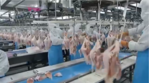 CC-by-sa ethify.org & dilemma